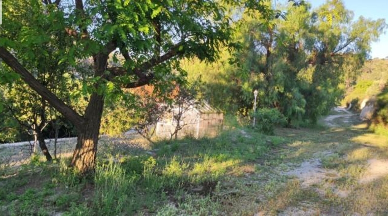 Alicante - Dolores - 159951m2