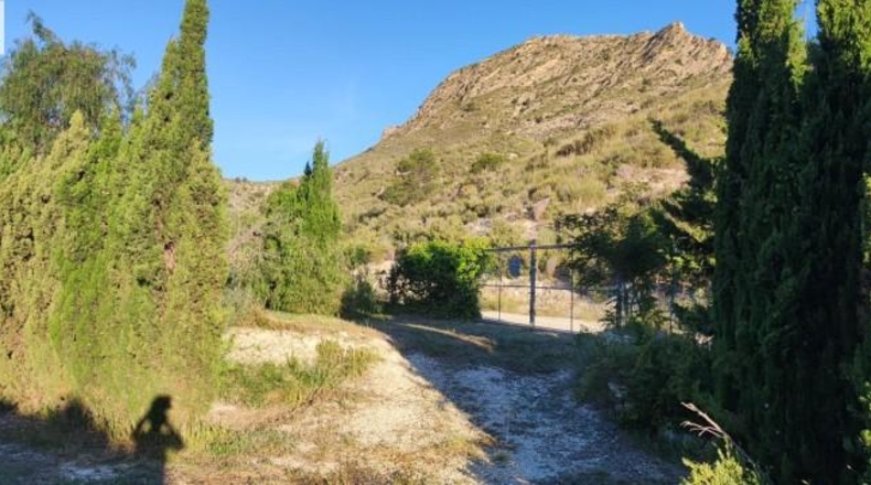 Alicante - Dolores - 159951m2