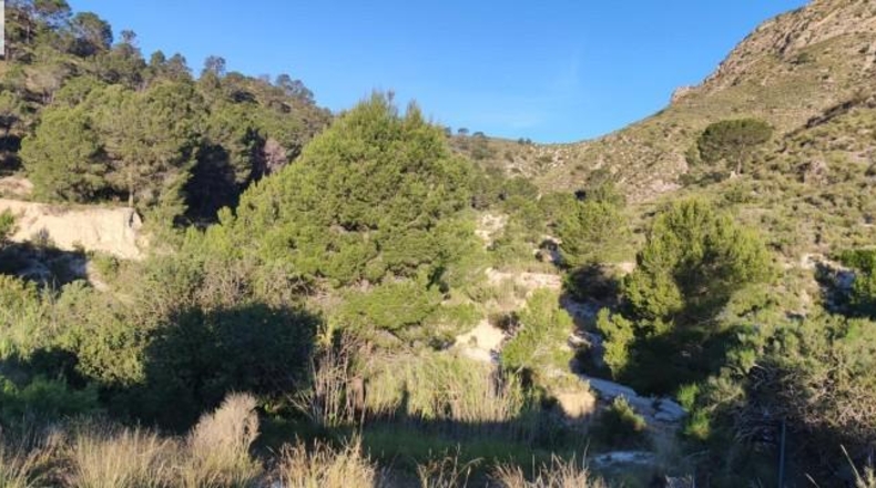 Alicante - Dolores - 159951m2