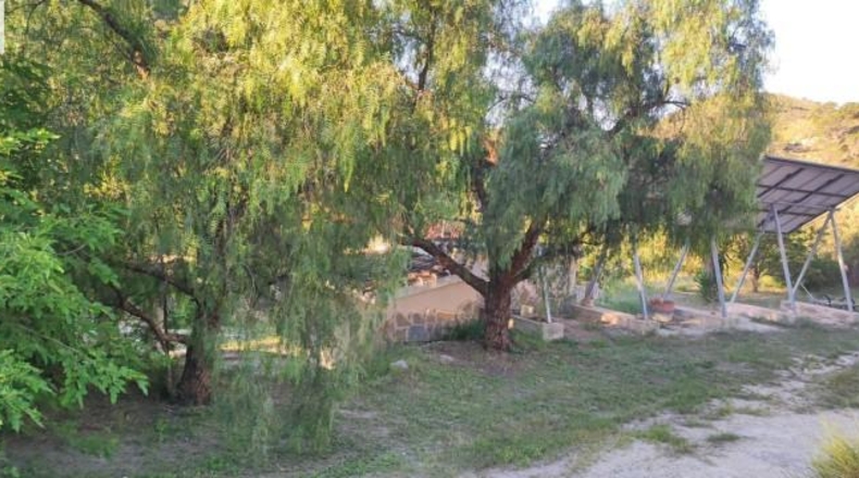 Alicante - Dolores - 159951m2