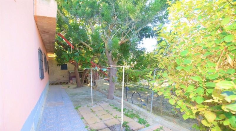 Аликанте - Guardamar del Segura - 9917m2