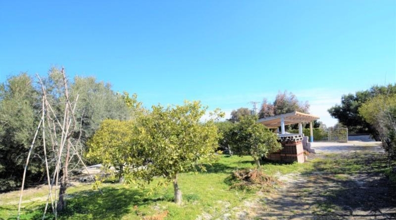 Аликанте - Guardamar del Segura - 9917m2