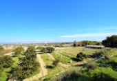 Finca rústica en venta en la España, Guardamar del Segura, ref: TR405320 foto