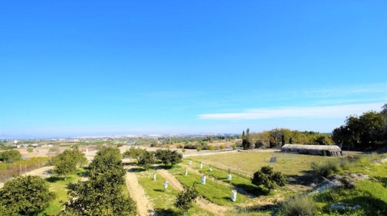 Аликанте - Guardamar del Segura - 9917m2
