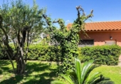 Detached villa with land for sale on España, Esparreguera, ref: TR278222 photo