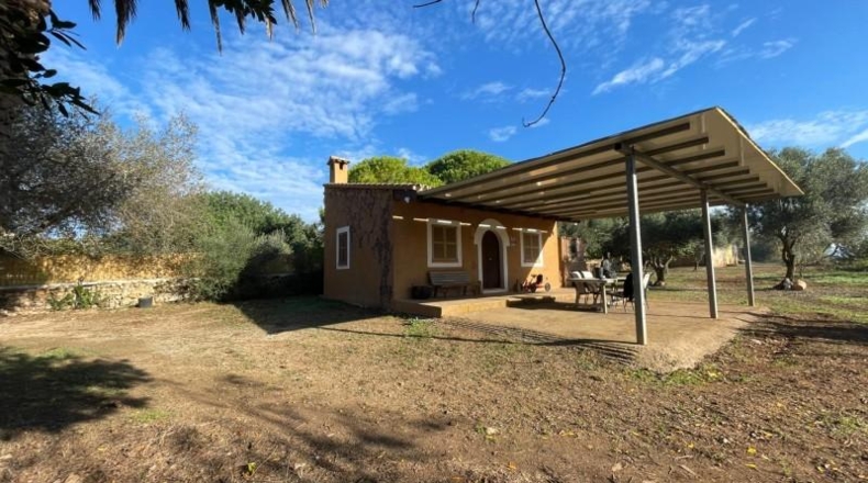 Islas Baleares - Manacor - 8541m2