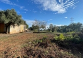 Detached villa with land for sale on España, Manacor, ref: TR350263 photo