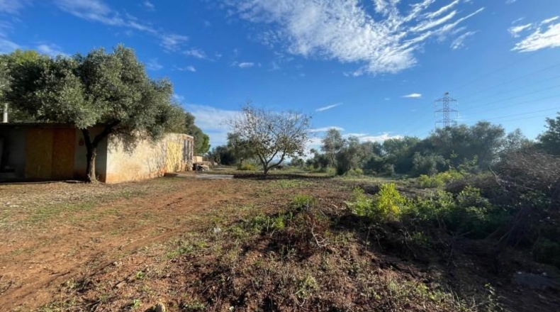 Islas Baleares - Manacor - 8541m2