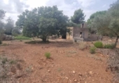 Detached villa with land for sale on España, Manacor, ref: TR350263 photo