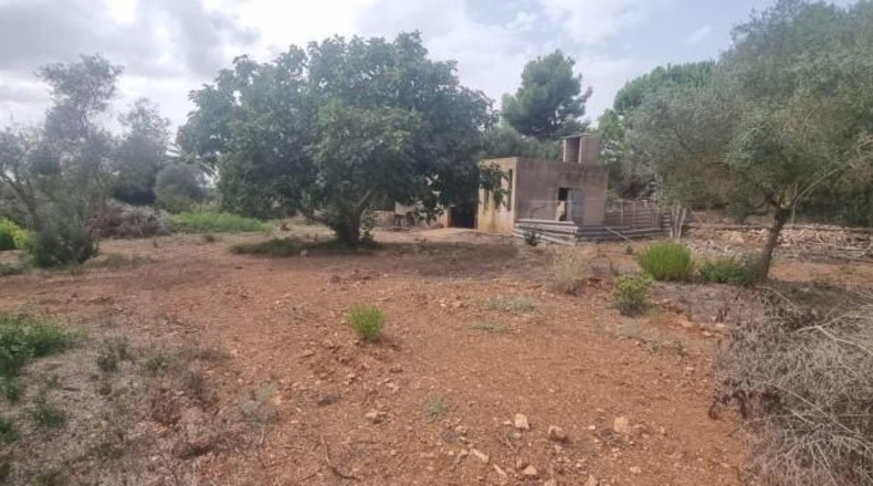 Islas Baleares - Manacor - 8541m2
