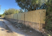 Detached villa with land for sale on España, Manacor, ref: TR350263 photo