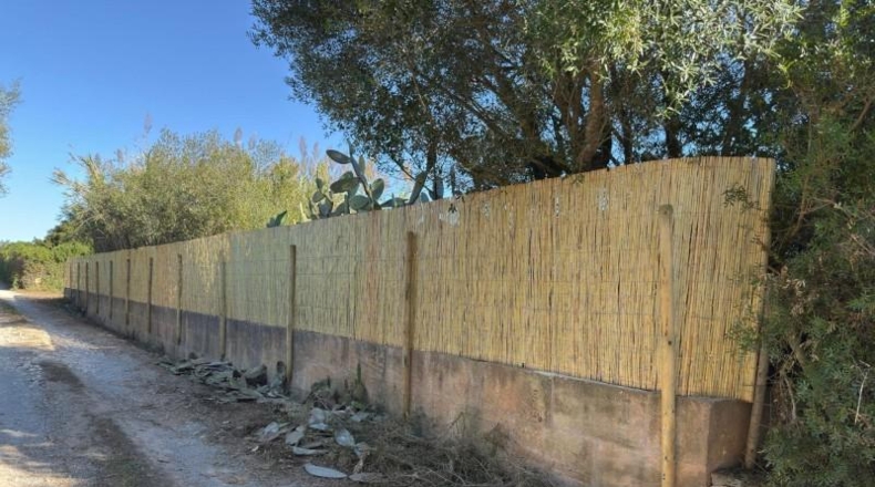 Islas Baleares - Manacor - 8541m2