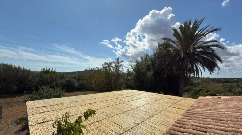 Islas Baleares - Manacor - 8541m2