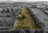 Detached villa with land for sale on España, Manacor, ref: TR366533 photo