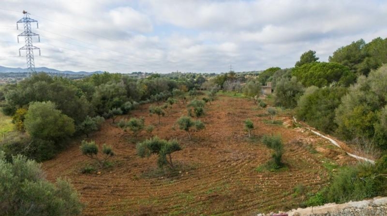 Islas Baleares - Manacor - 8540m2