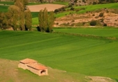 Casa de campo con terreno en venta en la España, Cáceres, ref: TR397644 foto