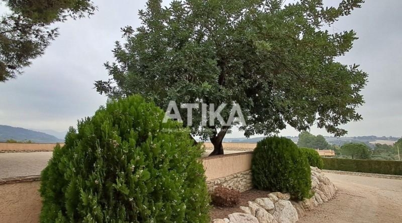 Valencia - Onteniente - 8991m2