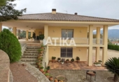 Chalet independiente con terreno en venta en la España, Ontinyent, ref: TR358476 foto