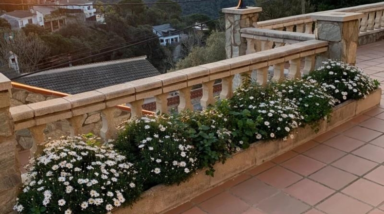 Barcelona - Sant Cebrià de Vallalta - 750m2