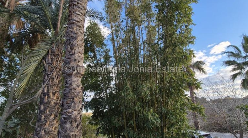 Аликанте - La Nucia - 9000m2