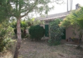 Terreno no urbanizable en venta en la España, Ses Salines, ref: TR130677 foto