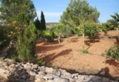 Terreno no urbanizable en venta en la España, Ses Salines, ref: TR130677 foto