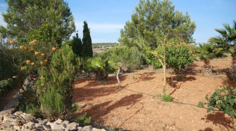 Balearic Islands - Las Salinas - 21000m2