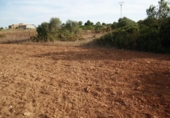 Terreno no urbanizable en venta en la España, Ses Salines, ref: TR130677 foto