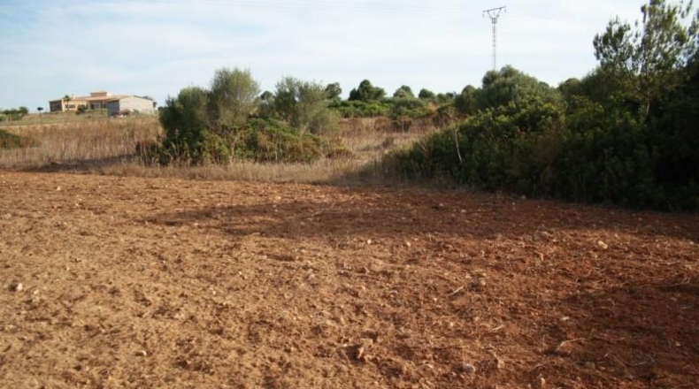Balearic Islands - Las Salinas - 21000m2