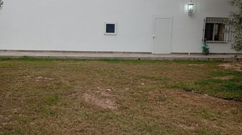Alicante - San Vicente del Raspeig - 6000m2