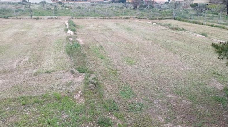Alicante - San Vicente del Raspeig - 6000m2