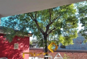 Foto 14