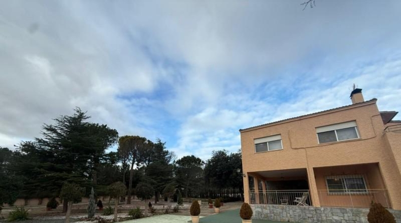 Alicante - Dolores - 470000m2
