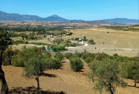 Foto 13