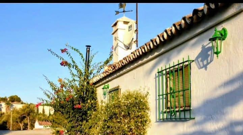 Málaga - Coín - 22349m2