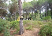 Chalet independiente con terreno en venta en la España, Maçanet de la Selva, ref: TR244086 foto