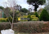 Chalet independiente con terreno en venta en la España, Maçanet de la Selva, ref: TR244086 foto