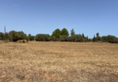 Detached villa with land for sale on España, Felanitx, ref: TR180332 photo