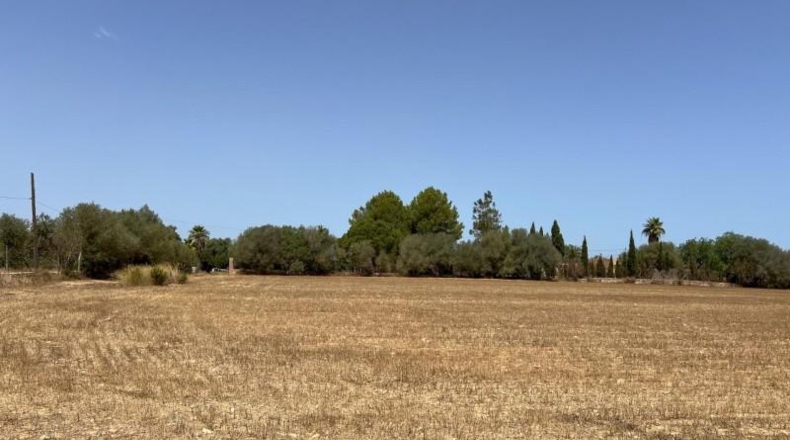 Islas Baleares - Felanitx - 16394m2