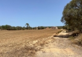 Detached villa with land for sale on España, Felanitx, ref: TR180332 photo