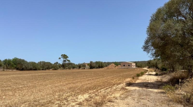 Islas Baleares - Felanitx - 16394m2