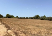 Detached villa with land for sale on España, Felanitx, ref: TR180332 photo