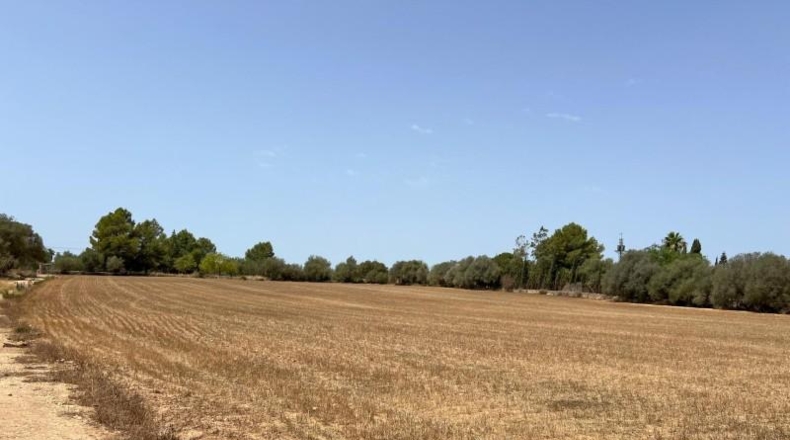 Islas Baleares - Felanitx - 16394m2