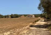 Detached villa with land for sale on España, Felanitx, ref: TR180332 photo