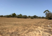 Detached villa with land for sale on España, Felanitx, ref: TR180332 photo
