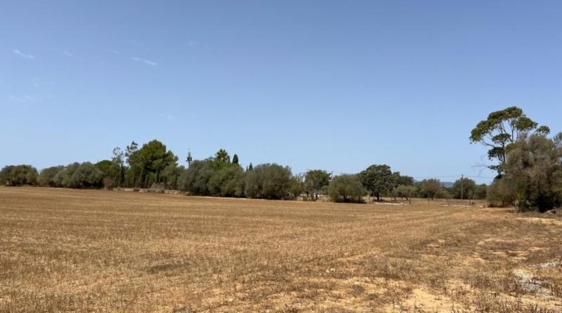 Islas Baleares - Felanitx - 16394m2
