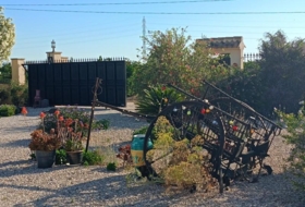 Foto 6