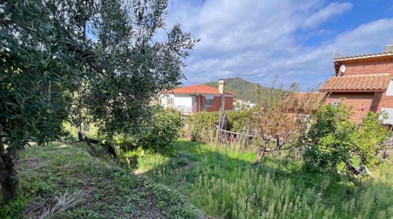 Barcelona - Santa Coloma de Cervelló - 595m2