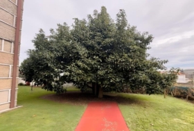 Vilagarcía 1013&nbsp;m²