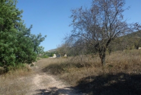 Foto 11